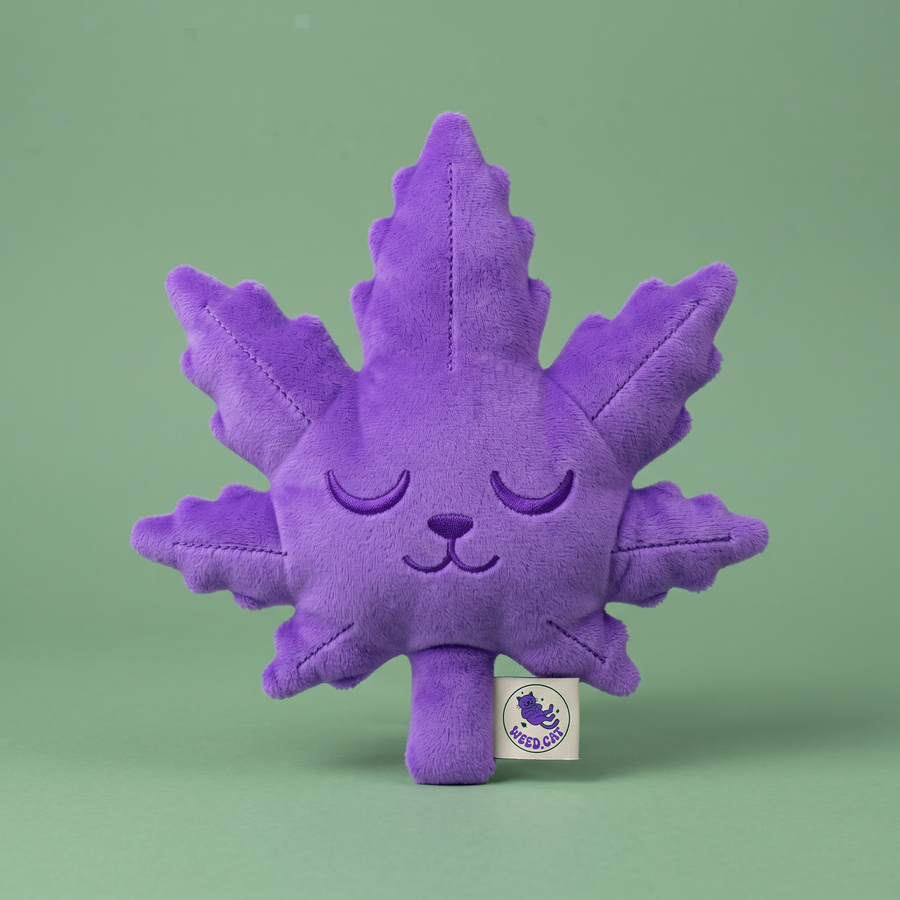 Toys & Gifts